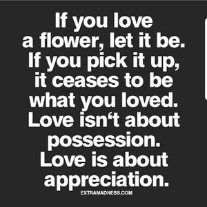 Meet your Posher, Beverly